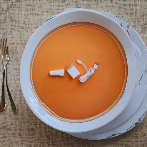 Chargers & Cables