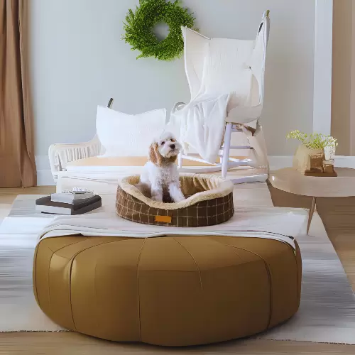 Pet Beds & Clothes