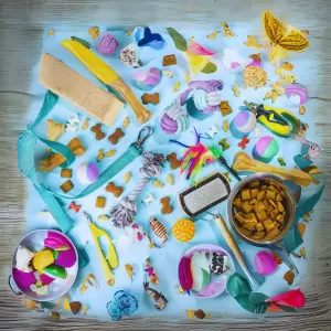 Pet Accessories