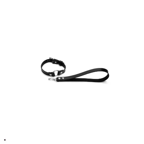 Collars & Leashes