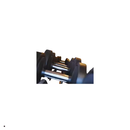 Dumbbells & Weights