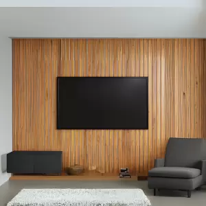 Televisions