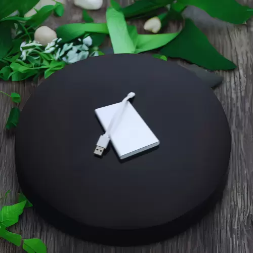 Power Banks