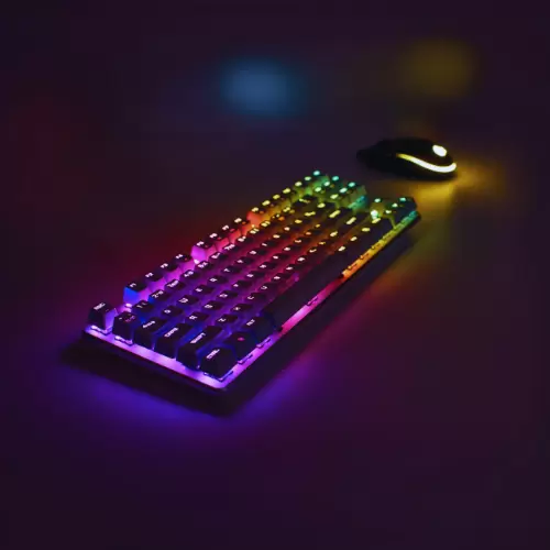 Keyboards & Mic
