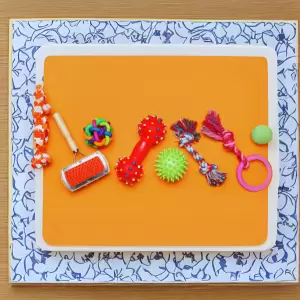 Toys & Grooming Supplies